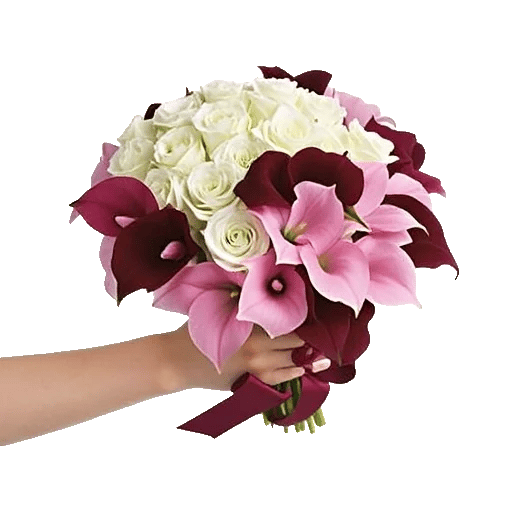 Elegant Calla Lilies