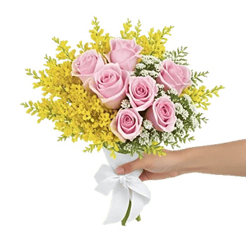 Blossom Harmony Display