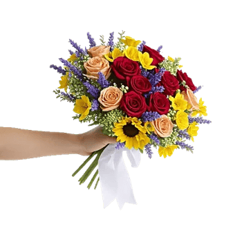 Blushing Rose Symphony