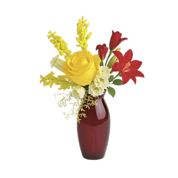 Ivory Blossom Radiance