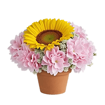 Amber Sunflower Glow