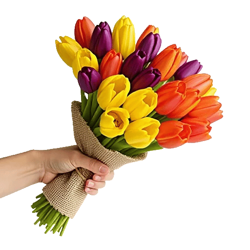 Velvet Tulip Display