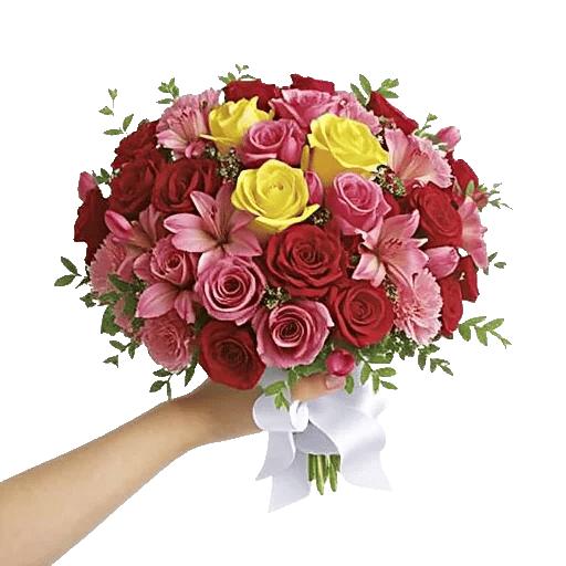 Blushing Rose Symphony