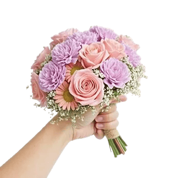 Pastel Pink Roses