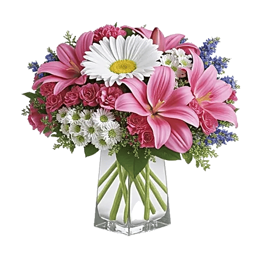 Ivory Blossom Radiance