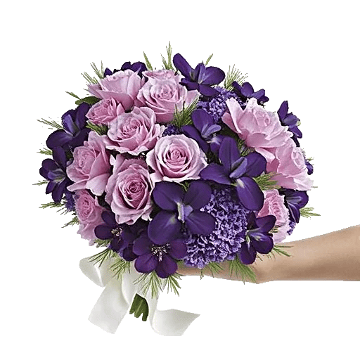 Petal Softness Display