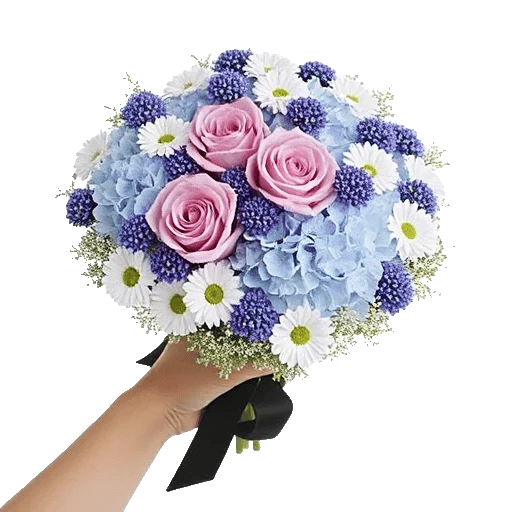 Serene Petal Harmony