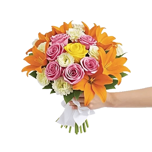 Blushing Rose Symphony