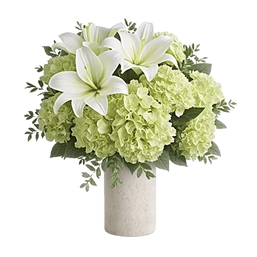 Ivory Blossom Radiance