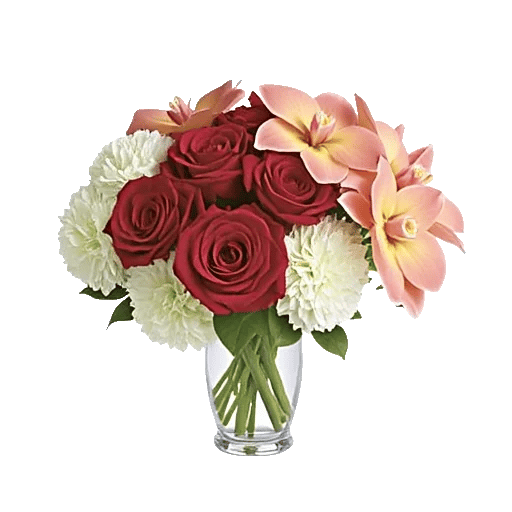 Crimson Blossom Harmony