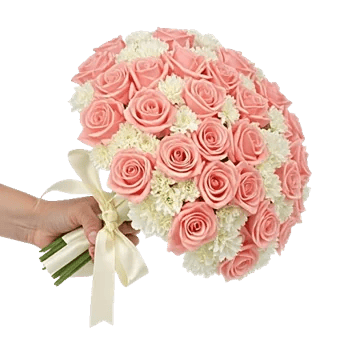 Blushing Rose Symphony