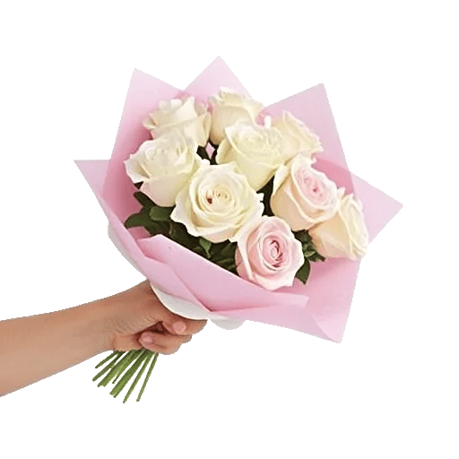 Pink Pastel Roses