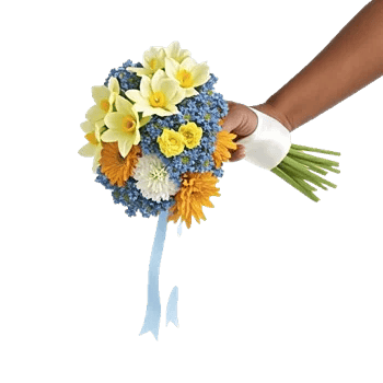 Delicate Petal Cascade