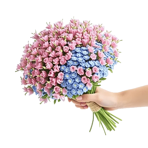 Blossom Petal Serenity