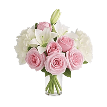 Ivory Blossom Radiance