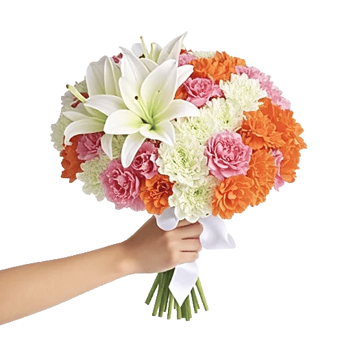 Blossom Harmony Display