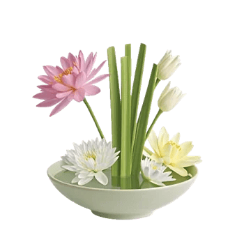 Ivory Blossom Radiance