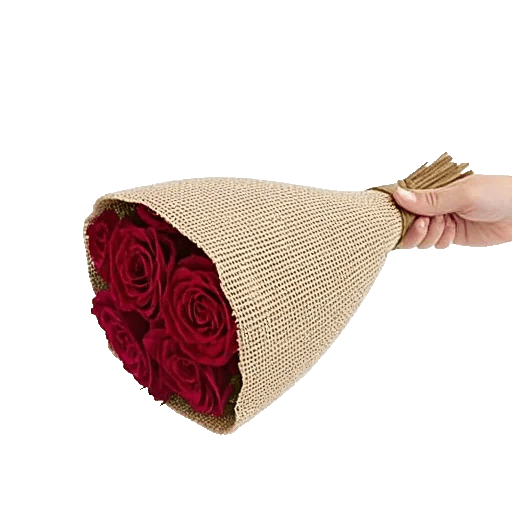 Crimson Rose Elegance