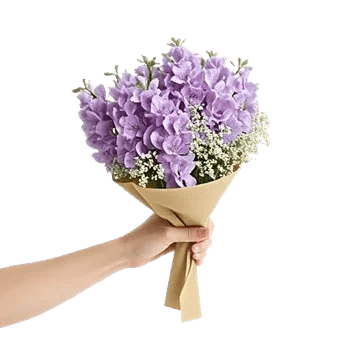 Delicate Petal Cascade