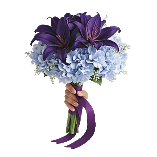 Serene Petal Harmony