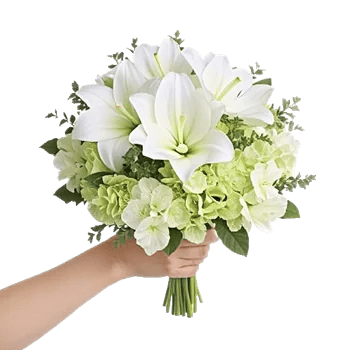 Minimalist White Orchids