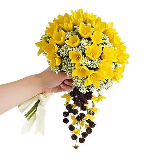 Delicate Petal Cascade
