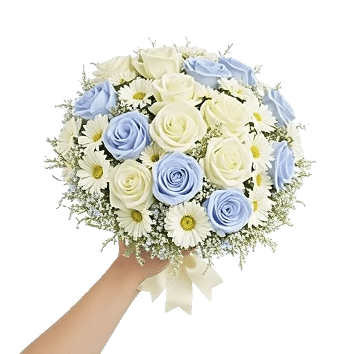 Serene Petal Harmony