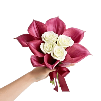 Elegant Calla Lilies