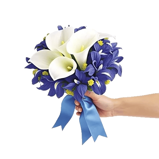 Elegant Calla Lilies