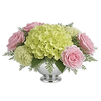 Serene Petal Harmony