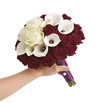 Elegant Calla Lilies