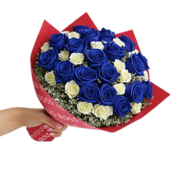 Elegant Blue Roses