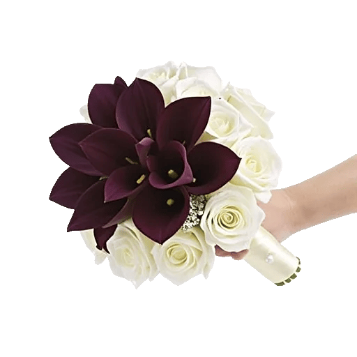 Elegant Calla Lilies
