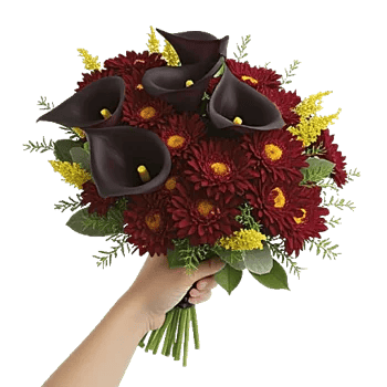 Elegant Calla Lilies
