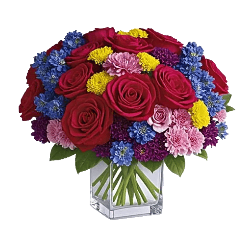 Petal Radiance Bliss