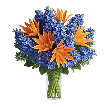 Radiant Bloom Cascade