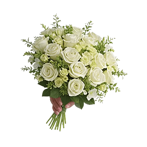 Petal Softness Display