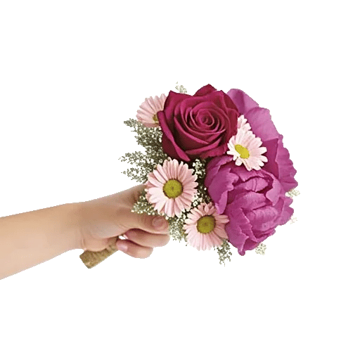 Pastel Pink Roses