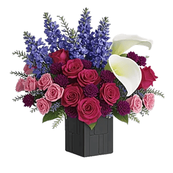 Elegant Calla Lilies