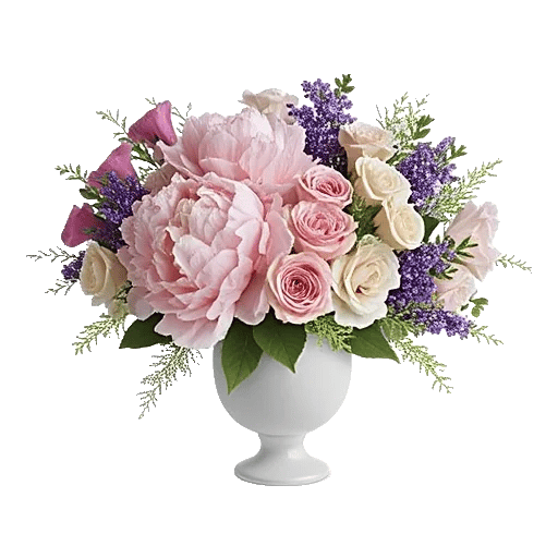 Peony Petal Harmony