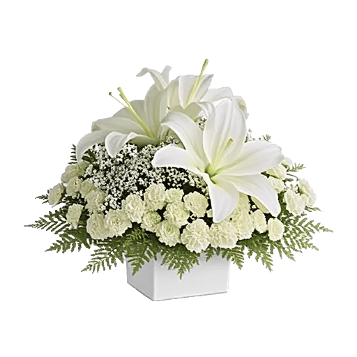Graceful Lily Display