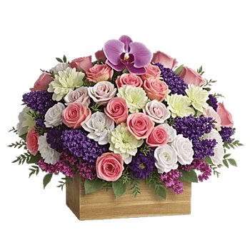 Orchid Bloom Cascade