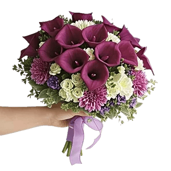 Elegant Calla Lilies