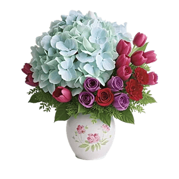 Ivory Blossom Radiance