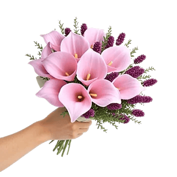 Elegant Calla Lilies
