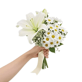 Ivory Garden Grace