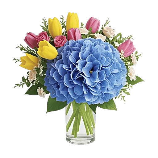 Azure Sky Blooms