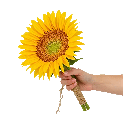 Golden Sunflower Bouquet