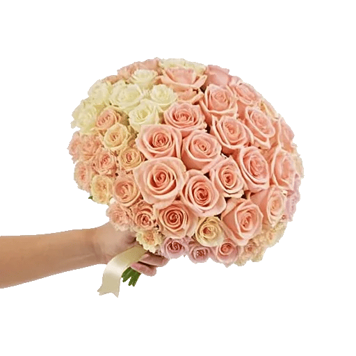 Peony Petal Harmony