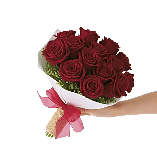 Crimson Rose Elegance
